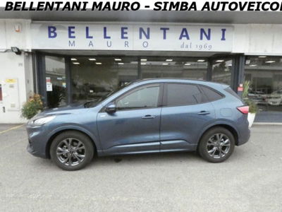 Ford Kuga 2.0 EcoBlue 120 CV aut. 2WD ST-Line X usata