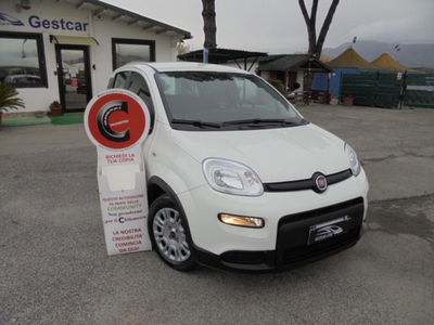 Fiat Panda 1.0 firefly hybrid s&s 70cv 5p.ti usata
