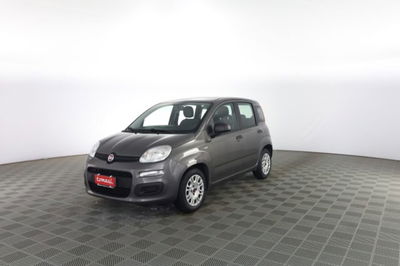 Fiat Panda 1.0 FireFly S&S Hybrid Easy usata