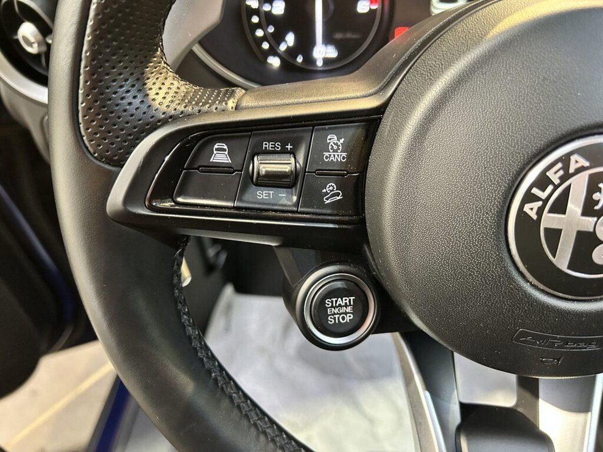Alfa Romeo Stelvio Stelvio 2.2 Turbodiesel 190 CV AT8 Q4 Super Business (13)