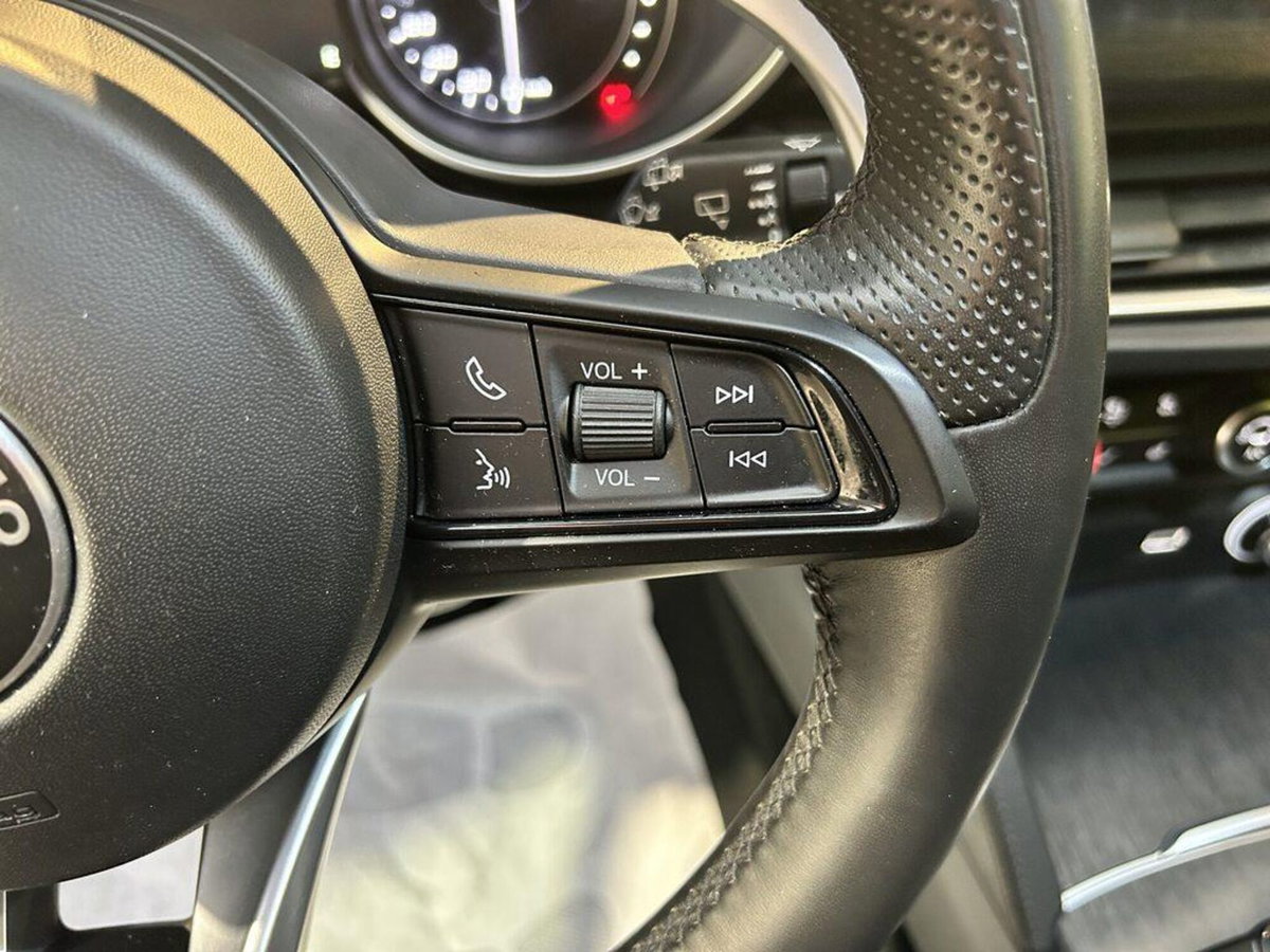 Alfa Romeo Stelvio Stelvio 2.2 Turbodiesel 190 CV AT8 Q4 Super Business (14)