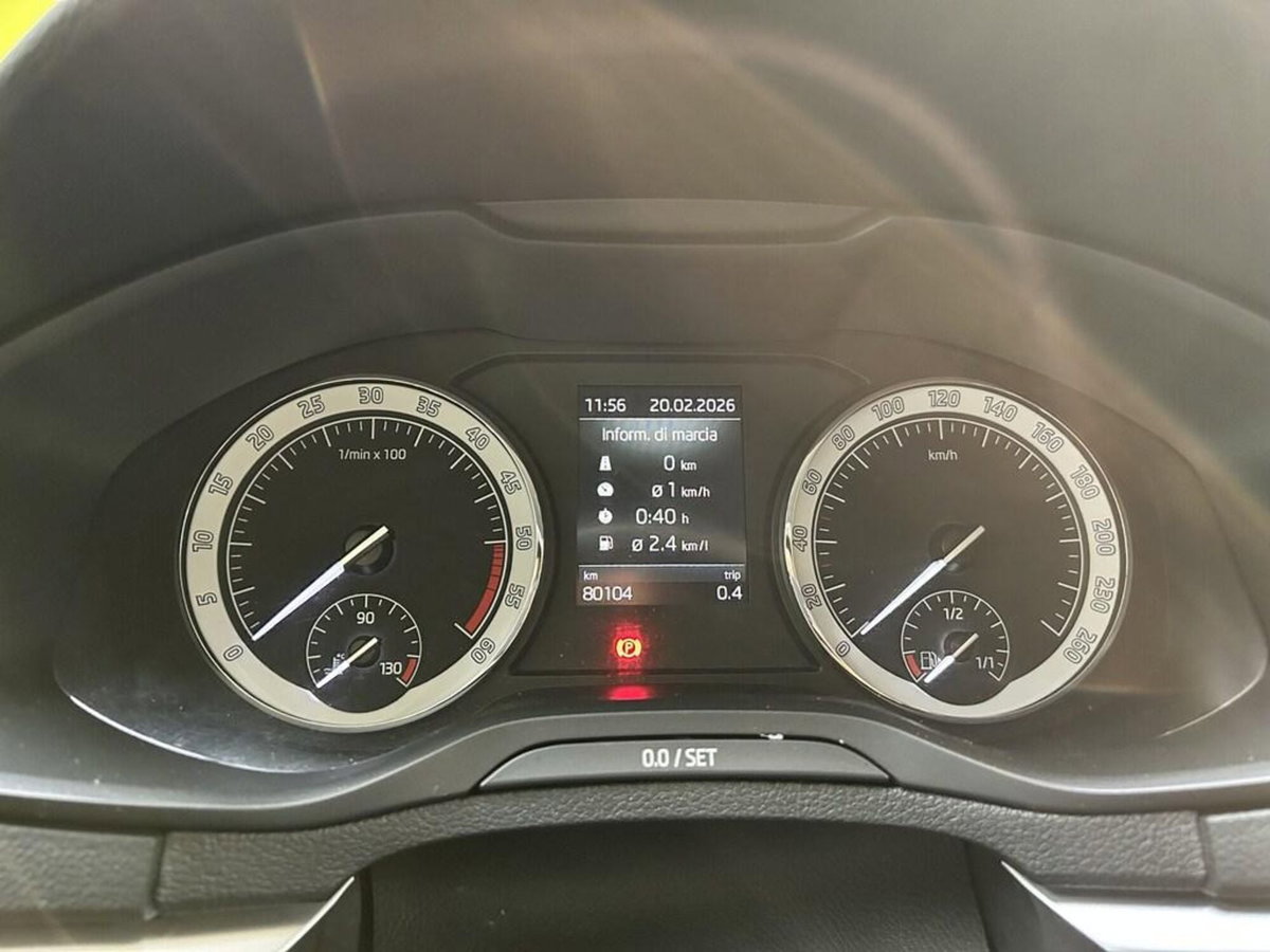 Skoda Karoq 2.0 TDI EVO SCR 115 CV DSG Executive (10)