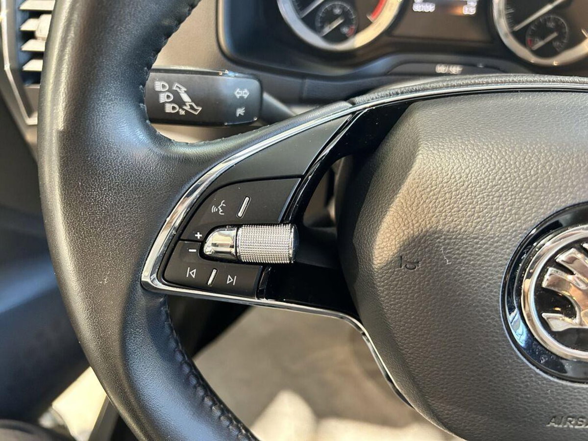 Skoda Karoq 2.0 TDI EVO SCR 115 CV DSG Executive (13)