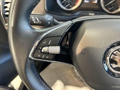 Skoda Karoq 2.0 TDI EVO SCR 115 CV DSG Executive (13)