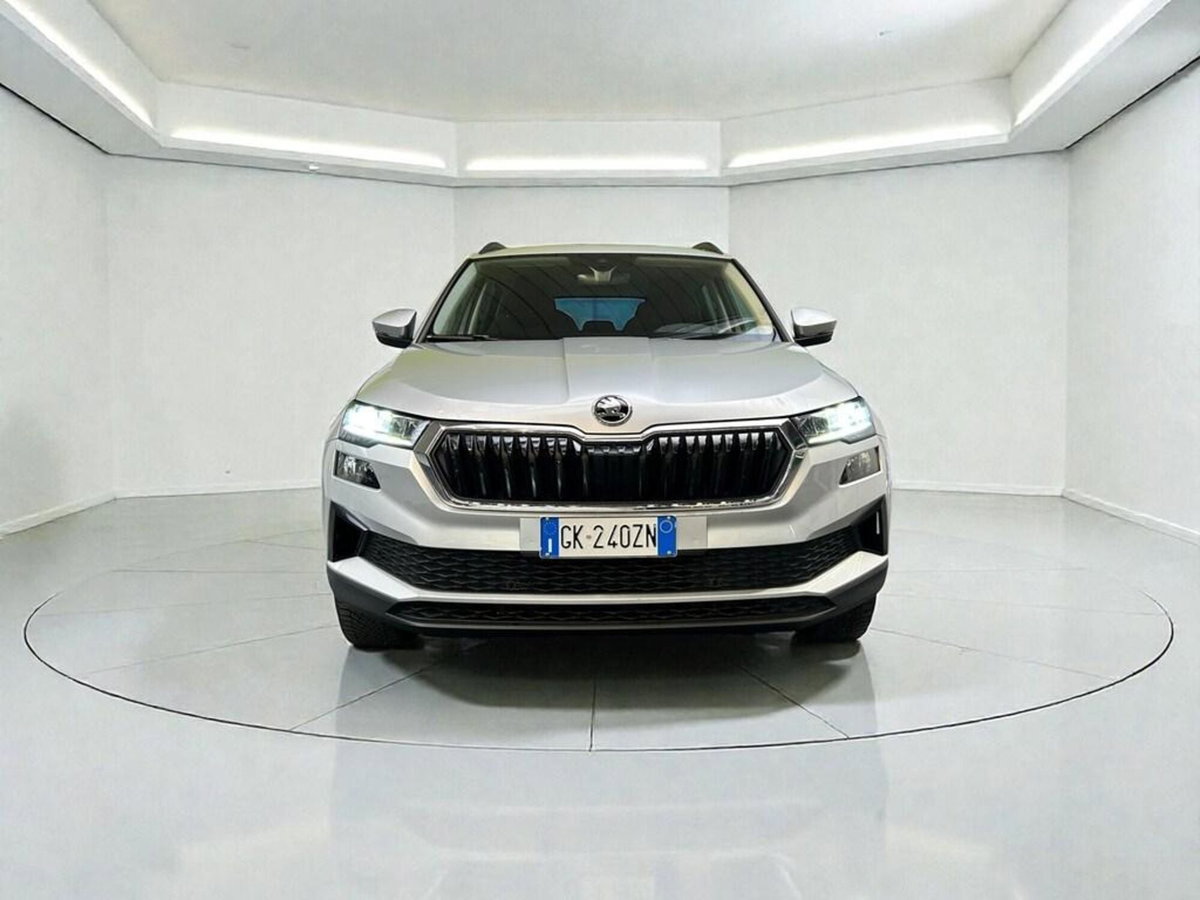 Skoda Karoq 2.0 TDI EVO SCR 115 CV DSG Executive (2)