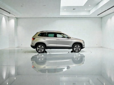 Skoda Karoq 2.0 TDI EVO SCR 115 CV DSG Executive (3)
