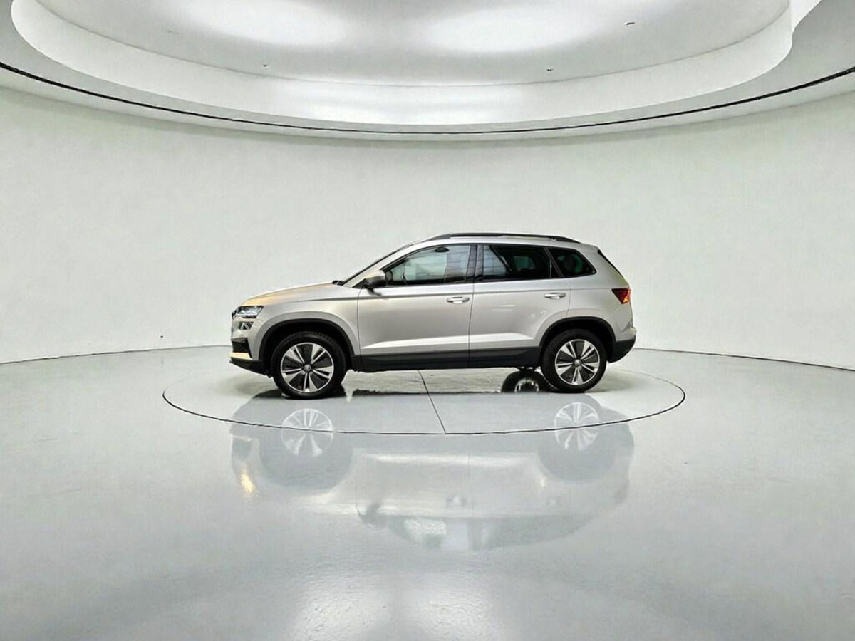 Skoda Karoq 2.0 TDI EVO SCR 115 CV DSG Executive (5)
