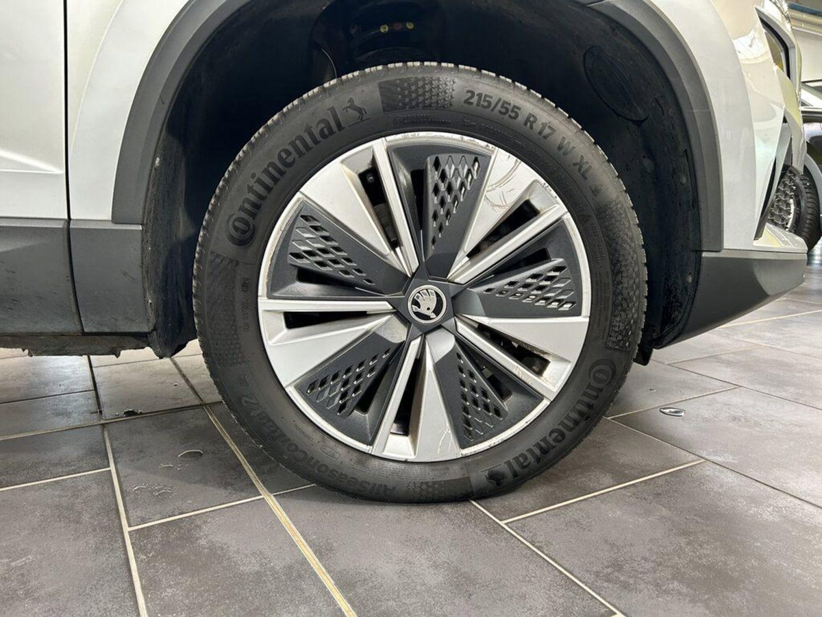 Skoda Karoq 2.0 TDI EVO SCR 115 CV DSG Executive (6)