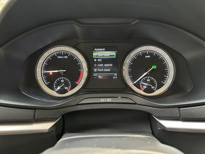 Skoda Karoq 2.0 TDI EVO SCR 115 CV DSG Executive (9)