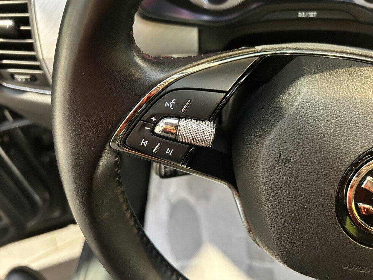 Skoda Kodiaq 2.0 TDI EVO SCR DSG Executive (11)