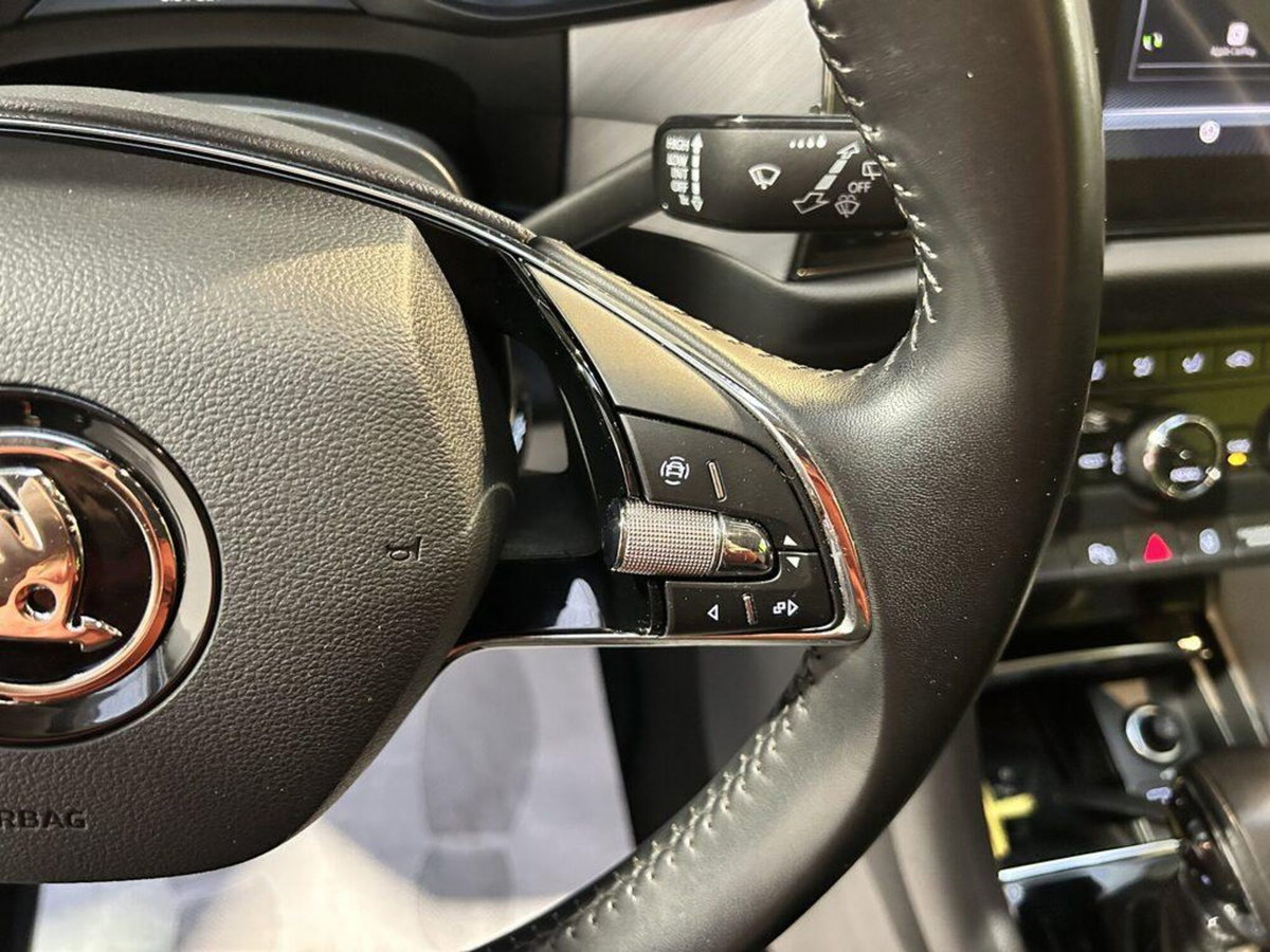 Skoda Kodiaq 2.0 TDI EVO SCR DSG Executive (12)
