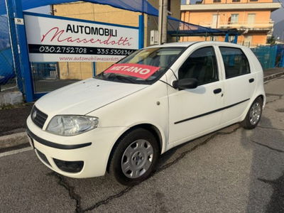 Fiat Punto 1.2 5 porte Active Natural Power usata