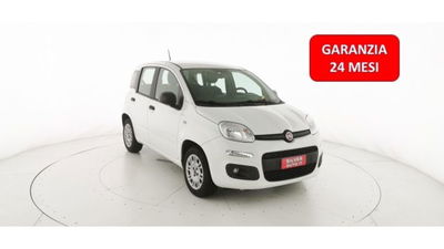 Fiat Panda 1.2 EasyPower Easy usata