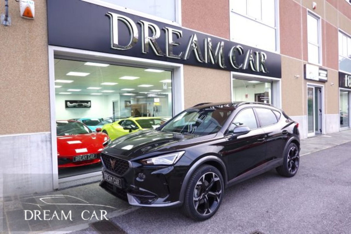 Cupra Formentor Formentor 2.0 tdi 4drive 150cv dsg