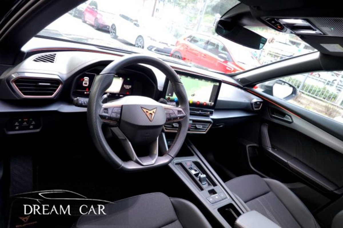 Cupra Formentor Formentor 2.0 tdi 4drive 150cv dsg (18)