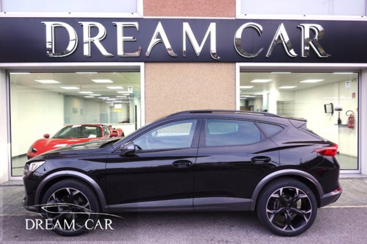 Cupra Formentor Formentor 2.0 tdi 4drive 150cv dsg (2)