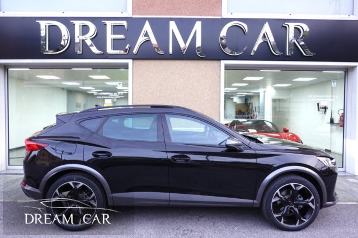 Cupra Formentor Formentor 2.0 tdi 4drive 150cv dsg (6)