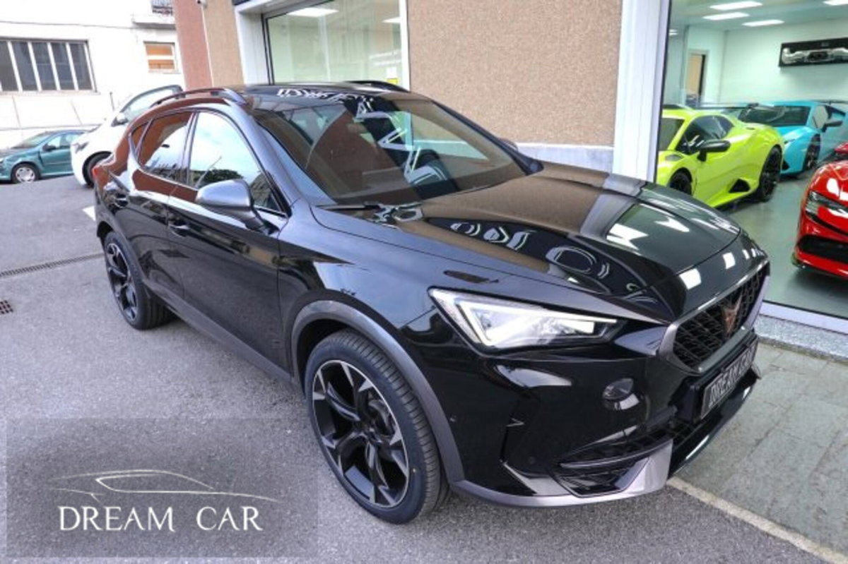 Cupra Formentor Formentor 2.0 tdi 4drive 150cv dsg (7)