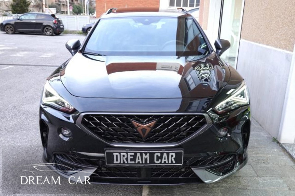 Cupra Formentor Formentor 2.0 tdi 4drive 150cv dsg (8)