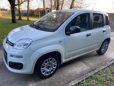 Fiat Panda 1.2 EasyPower Easy usata