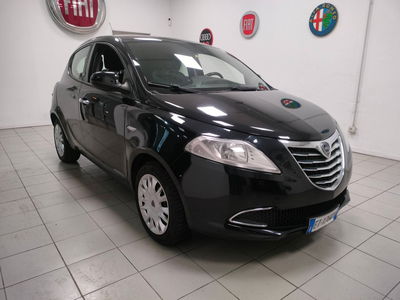 Lancia Ypsilon 1.2 69 CV 5 porte Elefantino usata