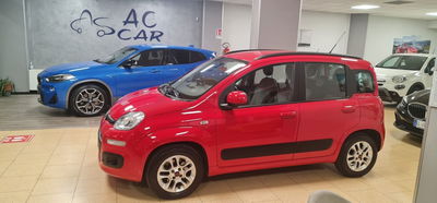 Fiat Panda 1.2 Lounge usata