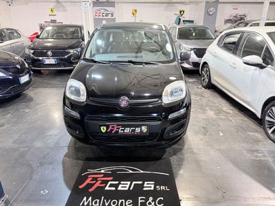Fiat Panda 1.2 Lounge usata