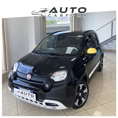 Fiat Panda 1.0 FireFly S&S Hybrid usata