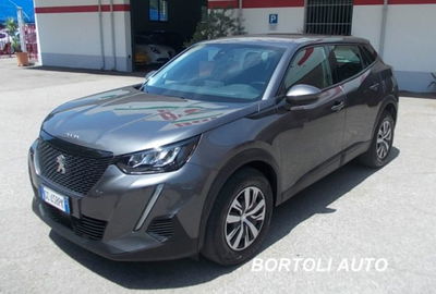 Peugeot 2008 PureTech 100 S&S Active usata
