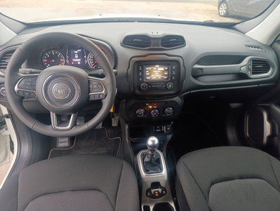 Jeep Renegade 1.6 Mjt 130 CV Business (7)