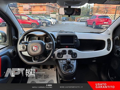 Fiat Panda Cross Cross 1.0 FireFly S&S Hybrid (8)