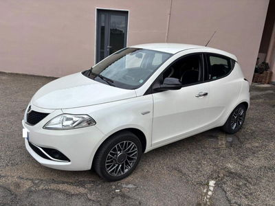 Lancia Ypsilon 0.9 TwinAir 85 CV 5 porte S&S DFN Gold usata