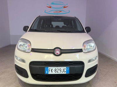 Fiat Panda 1.2 usata