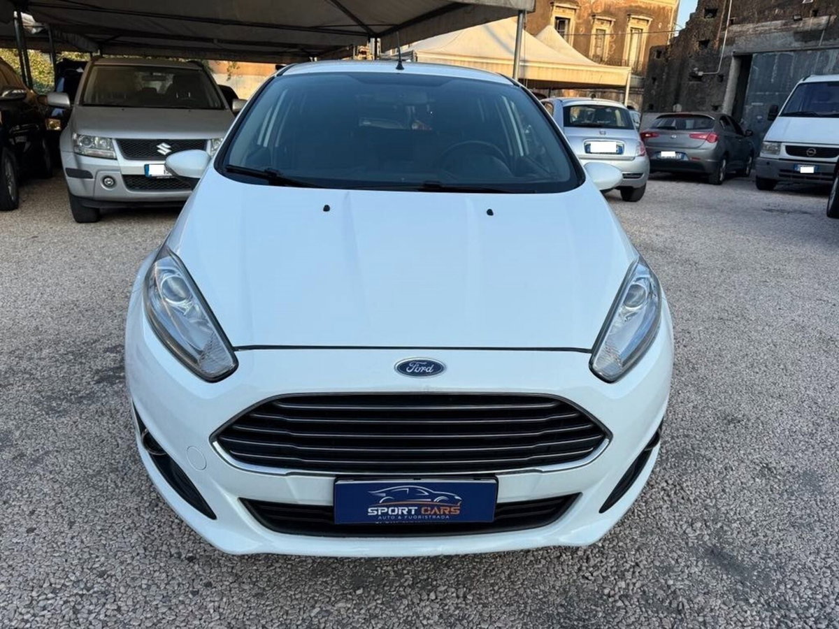 Ford Fiesta 1.5 TDCi 75CV 5 porte Titanium (3)