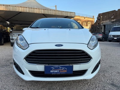 Ford Fiesta 1.5 TDCi 75CV 5 porte Titanium (4)