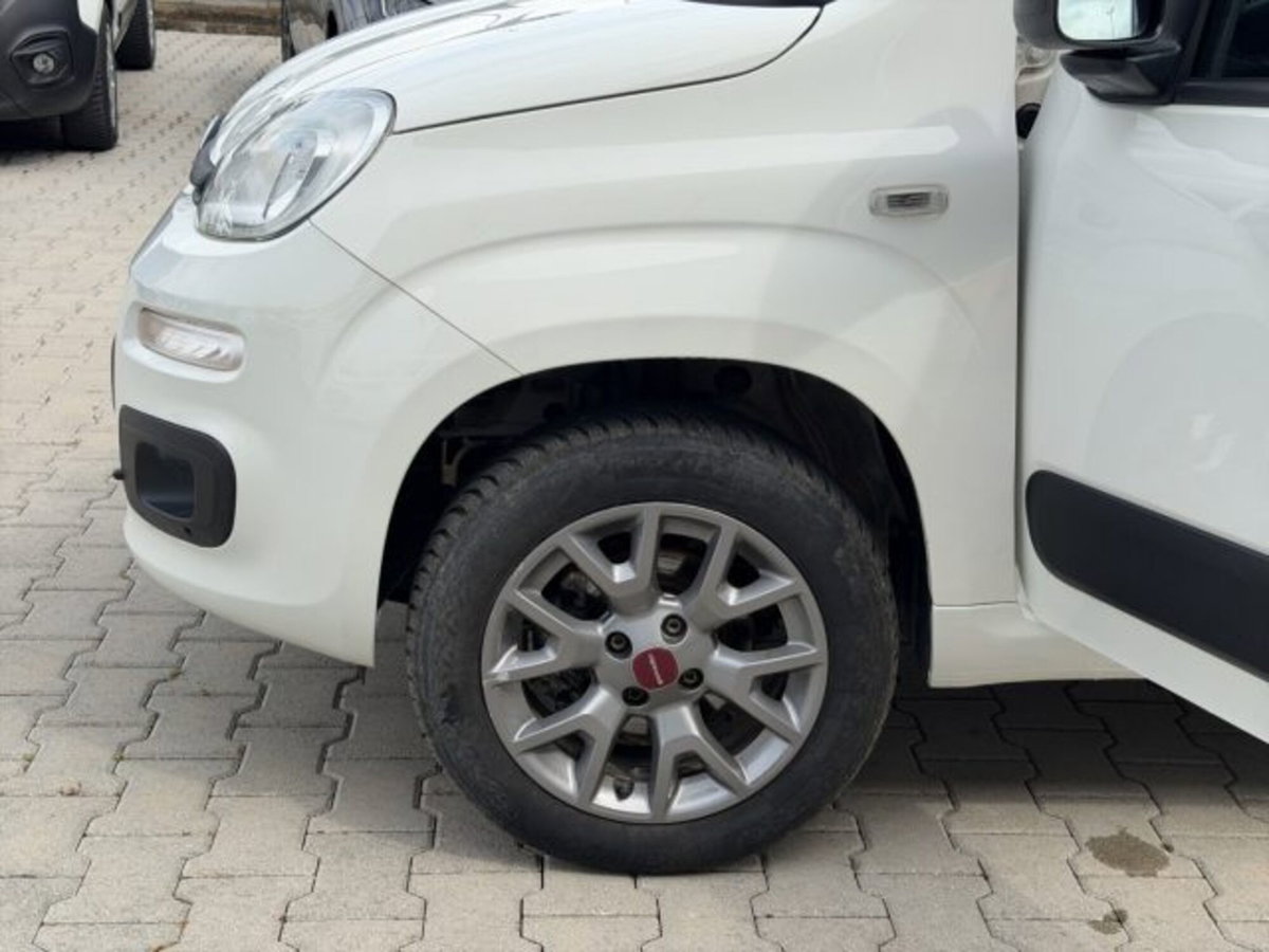 Fiat Panda 1.3 MJT 4x4 Pop Van 2 posti (19)