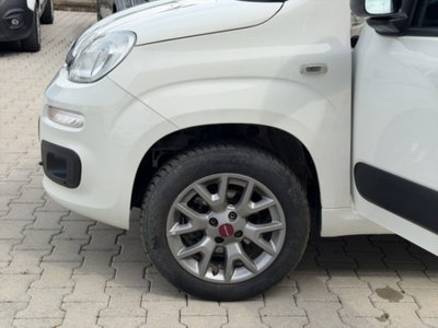 Fiat Panda 1.3 MJT 4x4 Pop Van 2 posti (19)