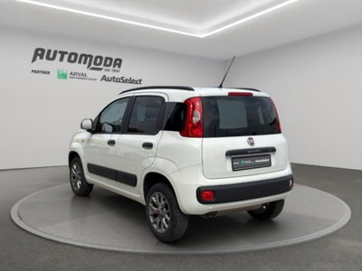 Fiat Panda 1.3 MJT 4x4 Pop Van 2 posti (6)
