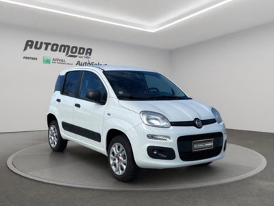 Fiat Panda 0.9 TwinAir Turbo S&S 4x4 Pop Van 2 posti (3)