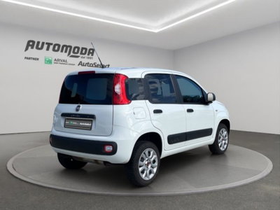 Fiat Panda 0.9 TwinAir Turbo S&S 4x4 Pop Van 2 posti (4)