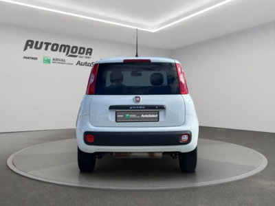Fiat Panda 0.9 TwinAir Turbo S&S 4x4 Pop Van 2 posti (5)