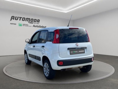 Fiat Panda 0.9 TwinAir Turbo S&S 4x4 Pop Van 2 posti (6)