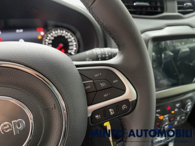Jeep Renegade 1.0 T3 Limited (19)