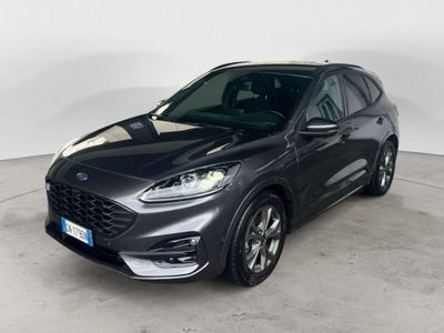 Ford Kuga 2.0 EcoBlue 120 CV aut. 2WD ST-Line X usata