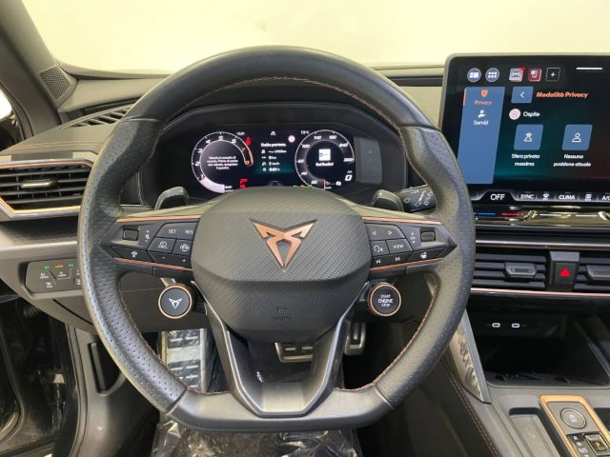 Cupra Formentor 1.5 hybrid 150cv dsg (16)