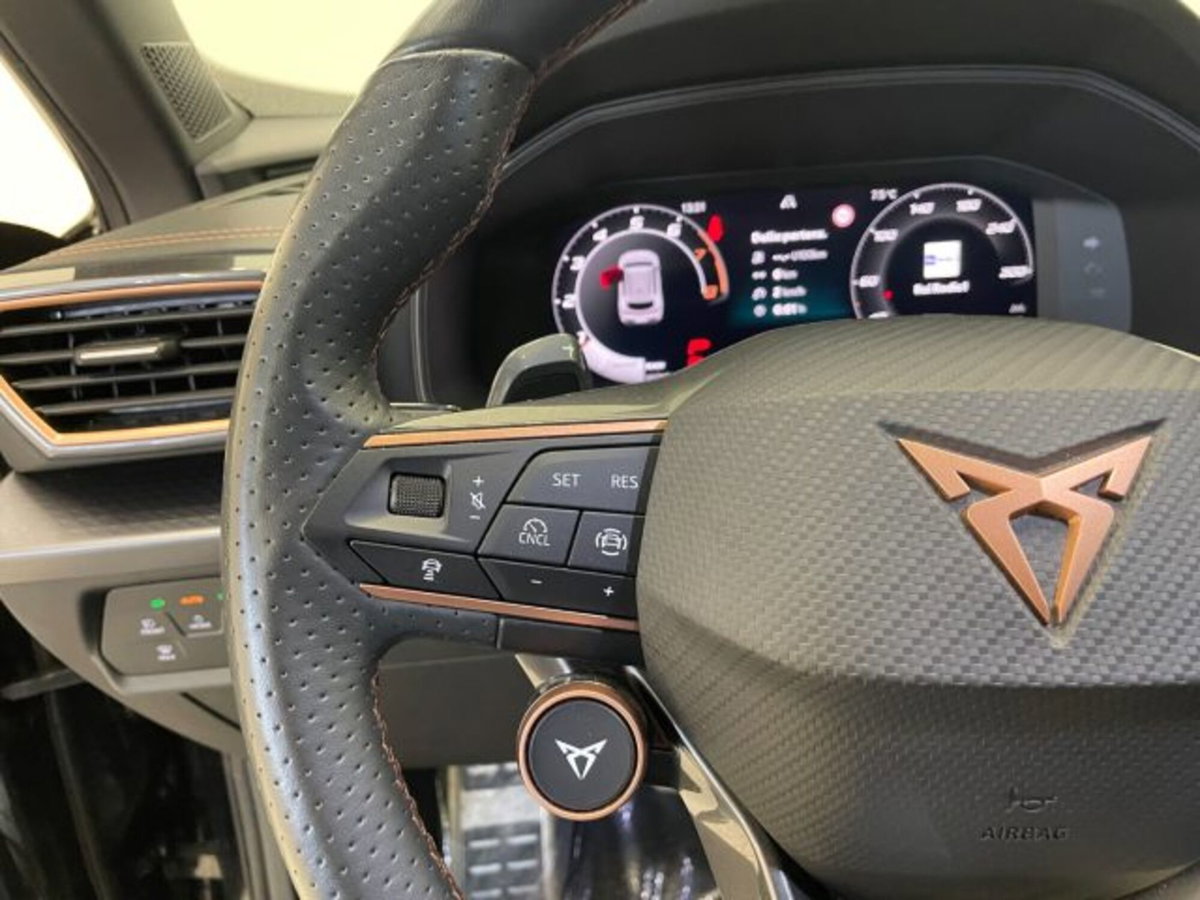 Cupra Formentor 1.5 hybrid 150cv dsg (17)