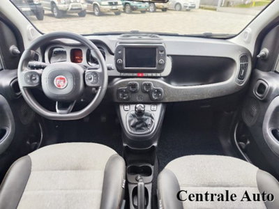 Fiat Panda Cross 1.0 firefly hybrid Cross s&s 70cv 5p.ti (12)