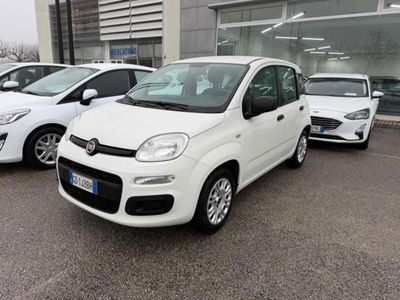 Fiat Panda 1.2 Easy usata