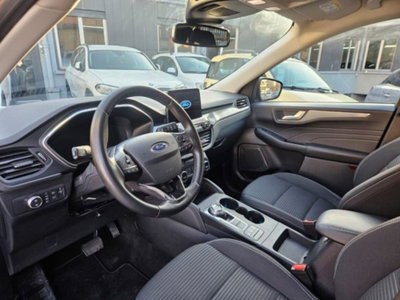 Ford Kuga 1.5 EcoBlue 120 CV 2WD ST-Line (6)