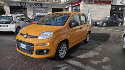 Fiat Panda 1.2 Lounge usata